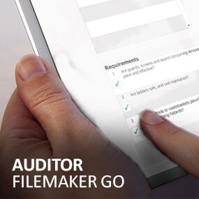 Auditor FileMaker Go