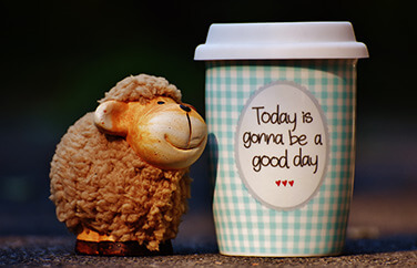 Image of a plastic sheep and a mug