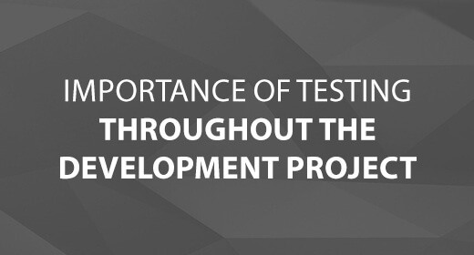 Importance of Testing Throughout the Development Project text image