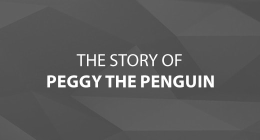 The Story of Peggy the Penguin Image