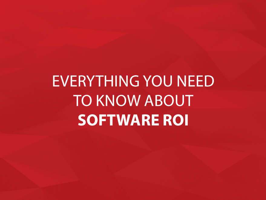 Everything You Need to Know about Software ROI