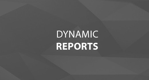 Dynamic Reports