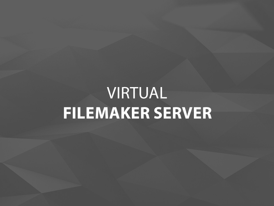 Hosting FileMaker Servers Virtual Main Title Image