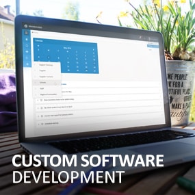 Custom Software Development