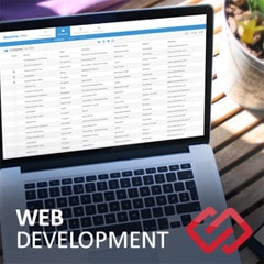 Custom Web Applications