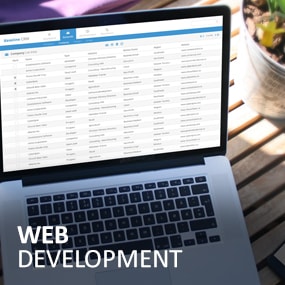 Web Development